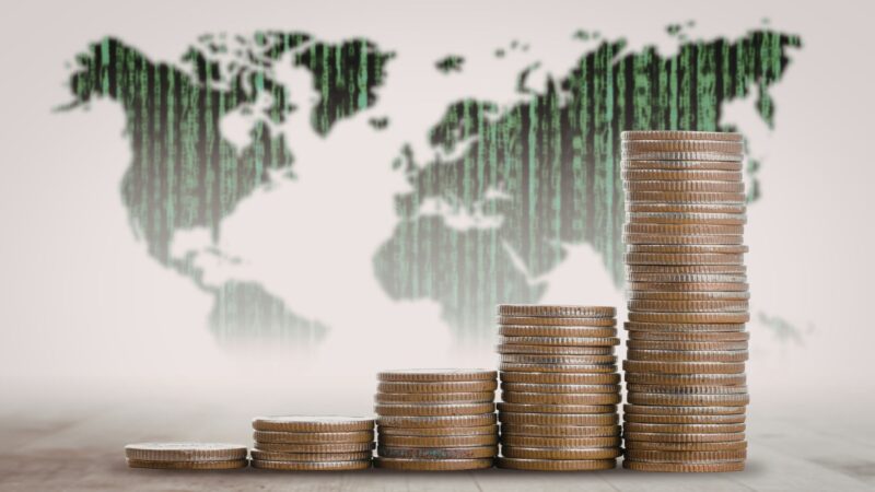 High Net Worth Investor